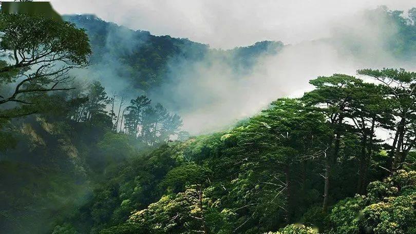 高级定制